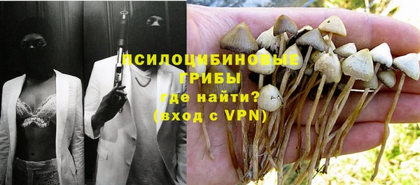 мяу мяу мука Алзамай