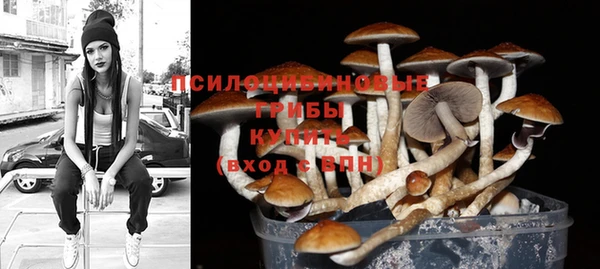 apvp Алексеевка
