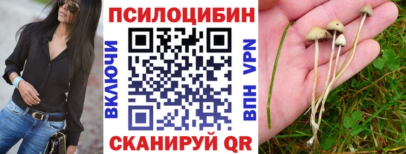 Галлюциногенные грибы GOLDEN TEACHER  купить наркотик  mega tor  Николаевск-на-Амуре 
